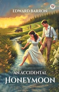 bokomslag Accidental Honeymoon (Edition1)