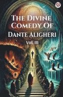 bokomslag Divine Comedy Of Dante AligheriVOL. III (Edition1)