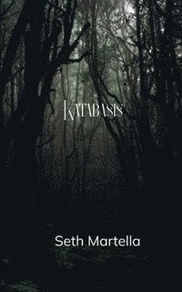 bokomslag Katabasis