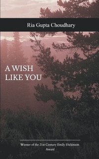 bokomslag wish like you