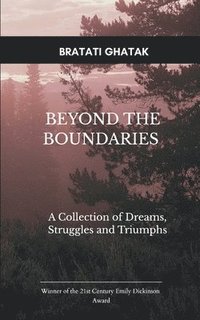 bokomslag Beyond the Boundaries