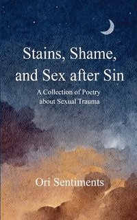 bokomslag Stains, Shame, and Sex after Sin