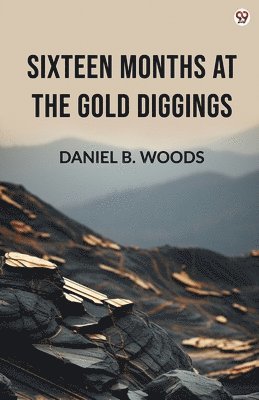 Sixteen Months At The Gold Diggings (Edition1)