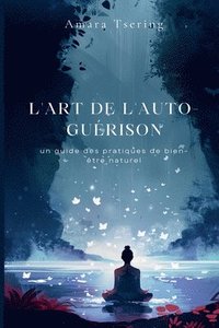 bokomslag L'art de l'auto-guérison