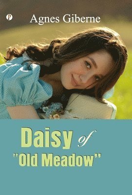 Daisy of Old Meadow