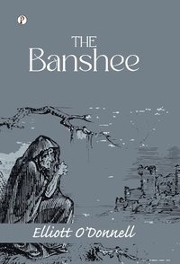 bokomslag Banshee