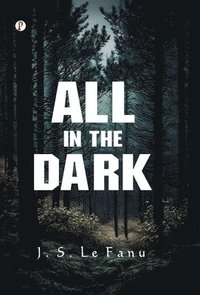 bokomslag All in the Dark