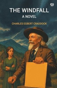 bokomslag The Windfall A Novel