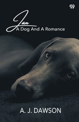 A J Dawson, A. J. Dawson - JanA Dog And A Romance (Edition1), Häftad