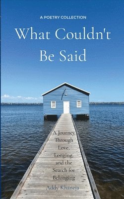 Addy Khaneja - What Couldn't Be Said, Häftad