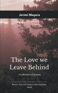 bokomslag Love We Leave Behind
