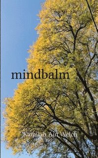bokomslag mindbalm
