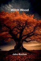 John Buchan - Witch Wood, Häftad