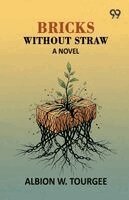 Albion Winegar Tourgee - Bricks Without Straw, Häftad