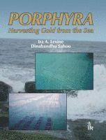 Porphyra 1