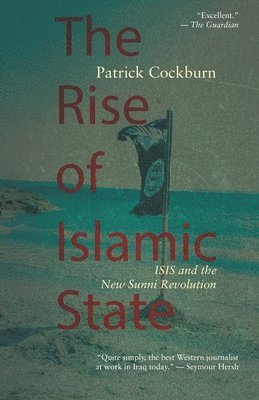 bokomslag Rise of Islamic State