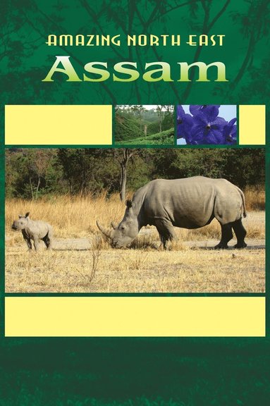 bokomslag Amazing North East_ Assam