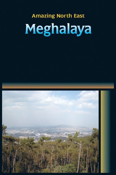 bokomslag Amazing North East - Meghalaya