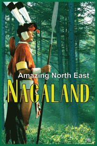 bokomslag Amazing North East-Nagaland