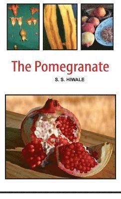 bokomslag The Pomegranate