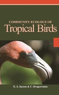 bokomslag Community Ecology of Tropical Birds