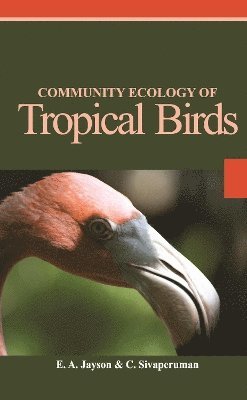 Community Ecology of Tropical Birds 1