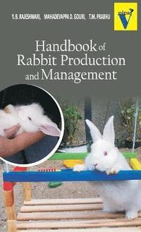 bokomslag Handbook of Rabbit Production and Management