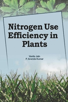 Nitrogen Use Efficiency in Plants