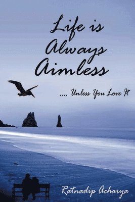 Life is Always Aimless 1