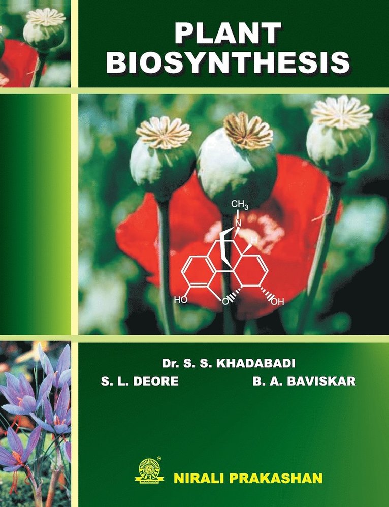 Plant Biosynthesis 1