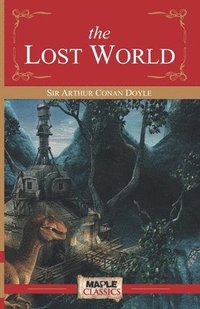 bokomslag Lost World