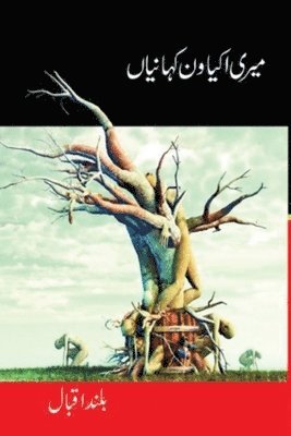 میری اکیاون کہانیاں