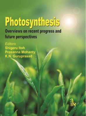 Shigeru Itoh, Prasanna Mohanty, K. N. Guruprasad - Photosynthesis, Häftad