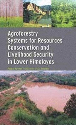 P. Panwar, A. K. Tiwari, K. S. Dadhwal - Agroforestry Systems for Resource Conservation and Livelihood Security in Lower Himalayas, Inbunden