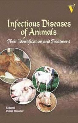 bokomslag Infectious Diseases of Animals Their Identification and Treatment