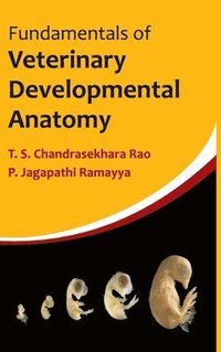 bokomslag Fundamentals Of Veterinary Developmental Anatomy
