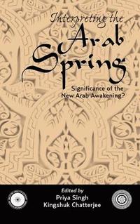bokomslag Interpreting the Arab Spring