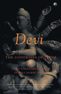 bokomslag Devi