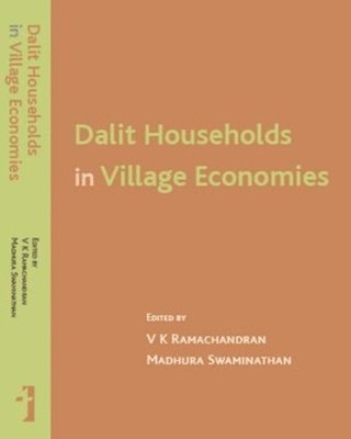 bokomslag Dalit Households in Village Economies