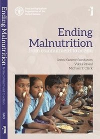 bokomslag Ending Malnutrition  From Commitment to Action