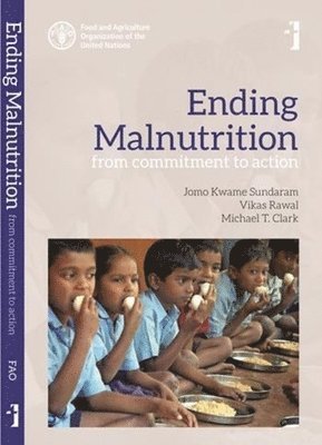 bokomslag Ending Malnutrition - From Commitment to Action