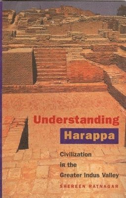 bokomslag Understanding Harappa  Civilization in the Greater Indus Valley