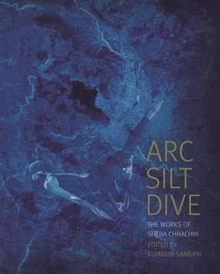bokomslag Arc Silt Dive - The Works of Sheba Chhachhi