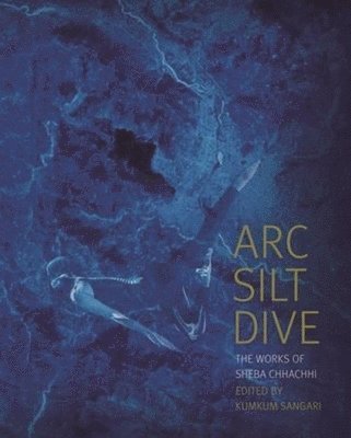 Arc Silt Dive  The Works of Sheba Chhachhi 1