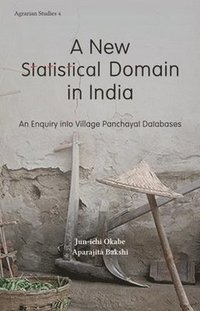 bokomslag A New Statistical Domain in India - An Enquiry Into Village Panchayat Databases