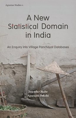 A New Statistical Domain in India  An Enquiry Into Village Panchayat Databases 1