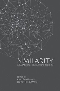 bokomslag Similarities - A Paradigm for Culture Theory