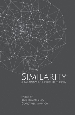 bokomslag Similarities - A Paradigm for Culture Theory