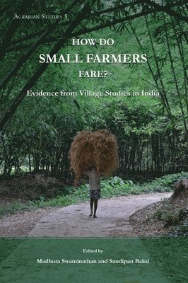 bokomslag How Do Small Farmers Fare? - Evidence from Village Studies in India