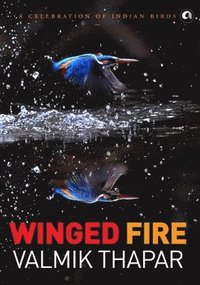 bokomslag Winged Fire